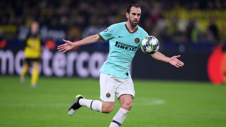 Diego Godin con la maglia dell'inter