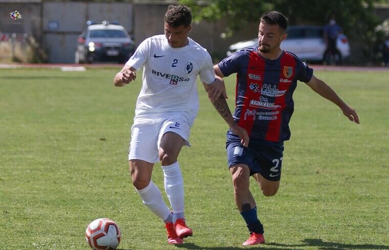 mastino-carbonia-afragolese-centotrentuno-murru