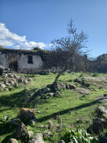 Su Bullone, villaggio abbandonato in Sardegna