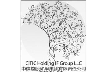 Citic Holding If Group