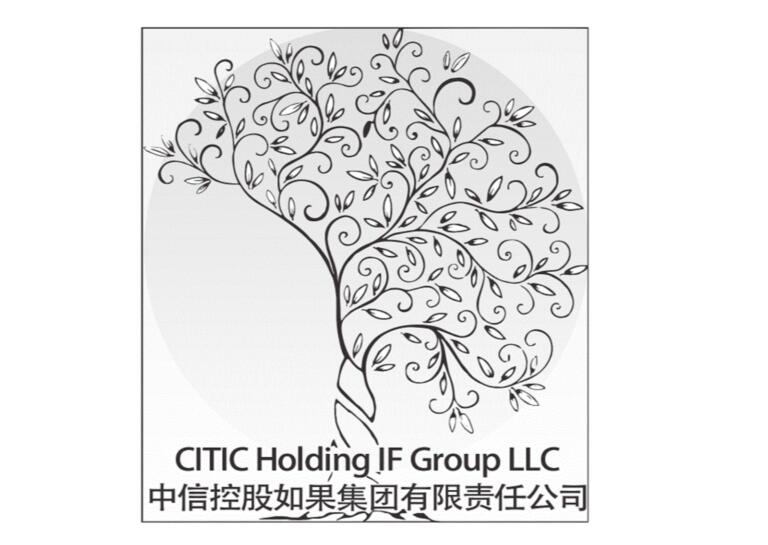 Citic Holding If Group