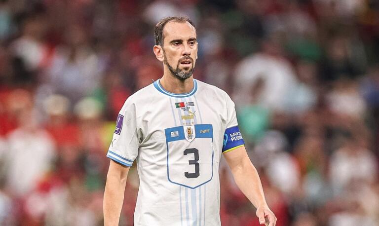 Diego Godin