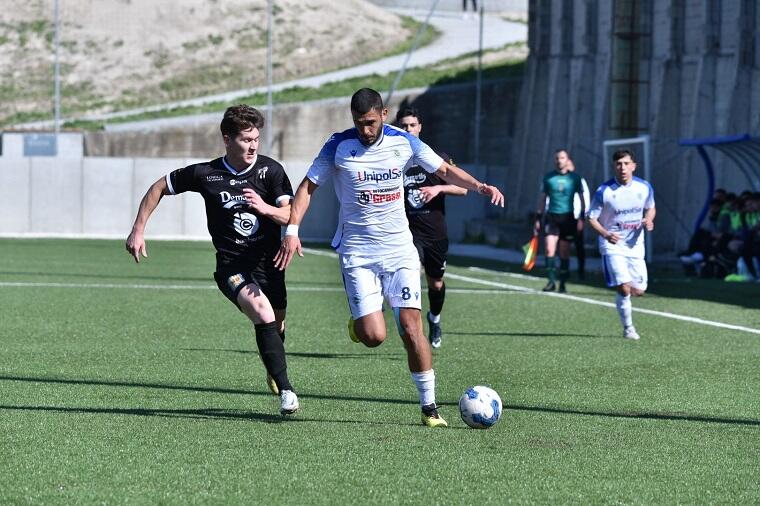 Olivera del del Latte Dolce | Foto Alessandro Sanna