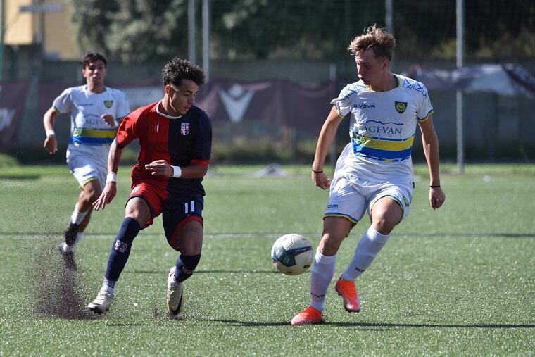 Torres-Carrarese Primavera 3